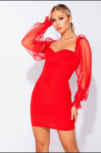 Organza sleeve dress - ÈquilibreFashions