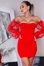 Load image into Gallery viewer, Organza sleeve dress - ÈquilibreFashions

